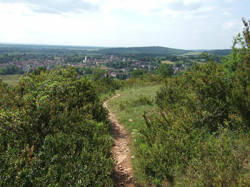 2010-05- (28).JPG